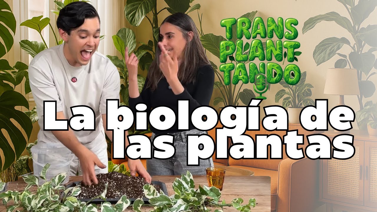 02Transplantando con Alba Núñez (Verdópolis) | Biología, Alocasias, Sustratos y Amor por las Plantas