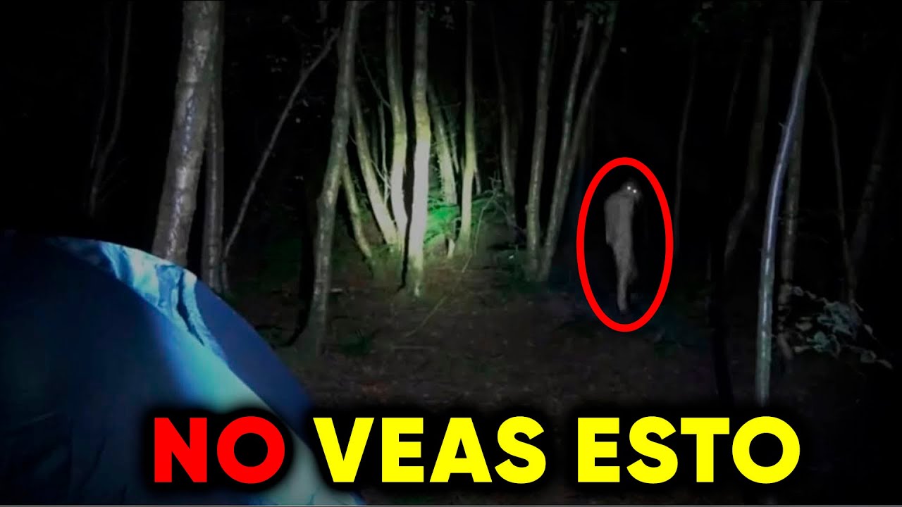 37 Encuentros de SENDERISTAS M&aacute;s ATERRADORES Capturados en el BOSQUE | Compilaci&oacute;n de Terror V43