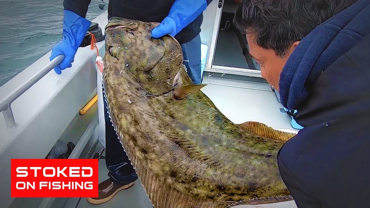 WIDE OPEN Halibut Fishing in Gustavus Alaska 2019