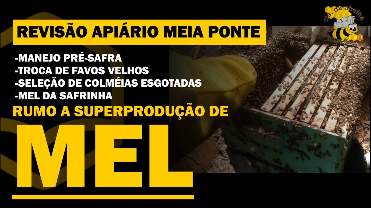 APIÁRIO MEIA PONTE: PREPARAÇÃO P/ PRODUÇÃO DE RAINHAS E MANEJO PRÉ-SAFRA P/ A SUPER PRODUÇÃO DE MEL