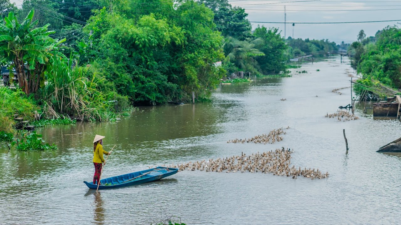 Driving a Motorbike in Mekong Delta: Kinh B1, Kien Giang, Vietnam