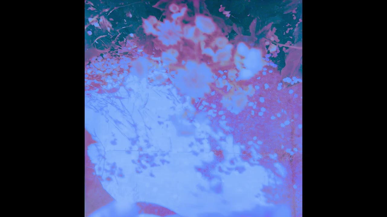 Snowcuffs - Burst