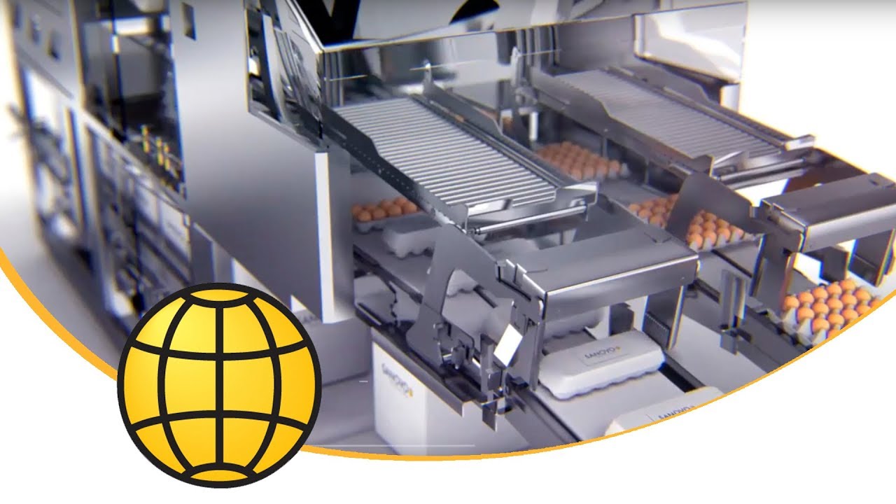 Egg Case Packer Machine - Automatic Egg Case Packer from SANOVO
