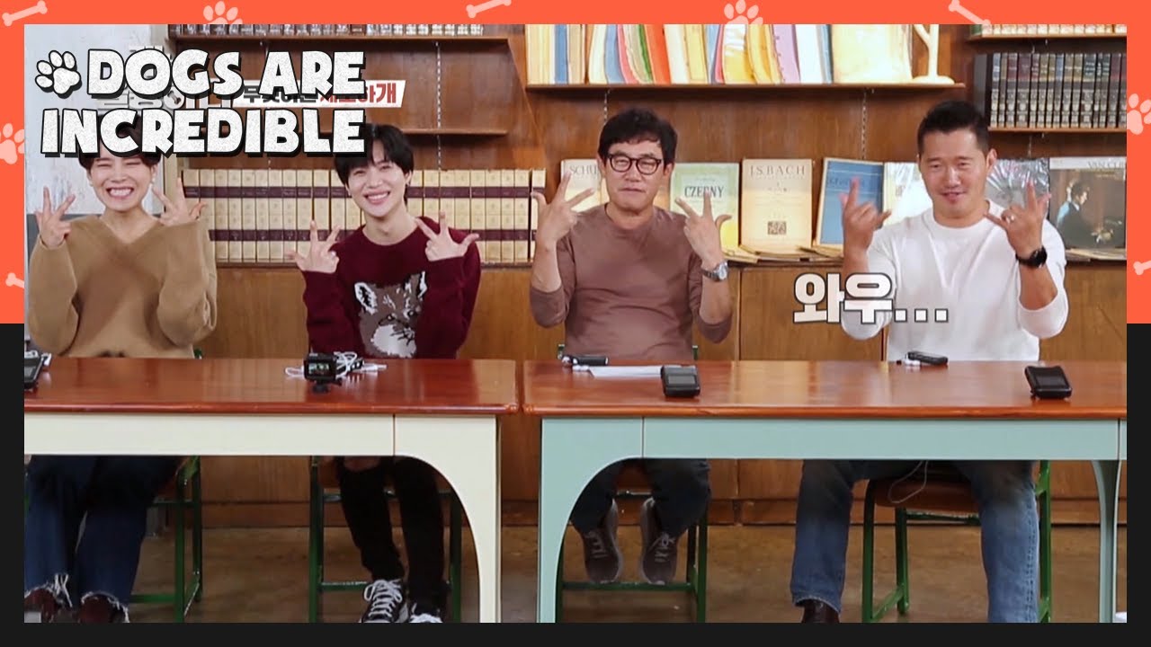Taemin of SHINee! Welcome! (Dogs are incredible) | KBS WORLD TV 201125
