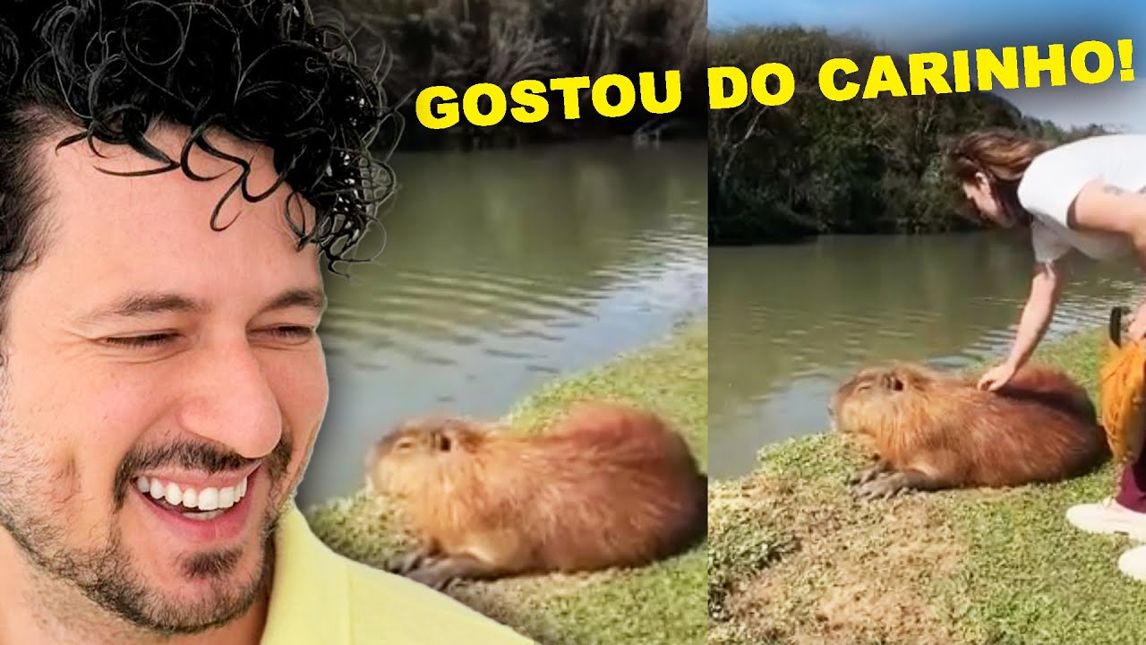 Vídeos para não Brigar.