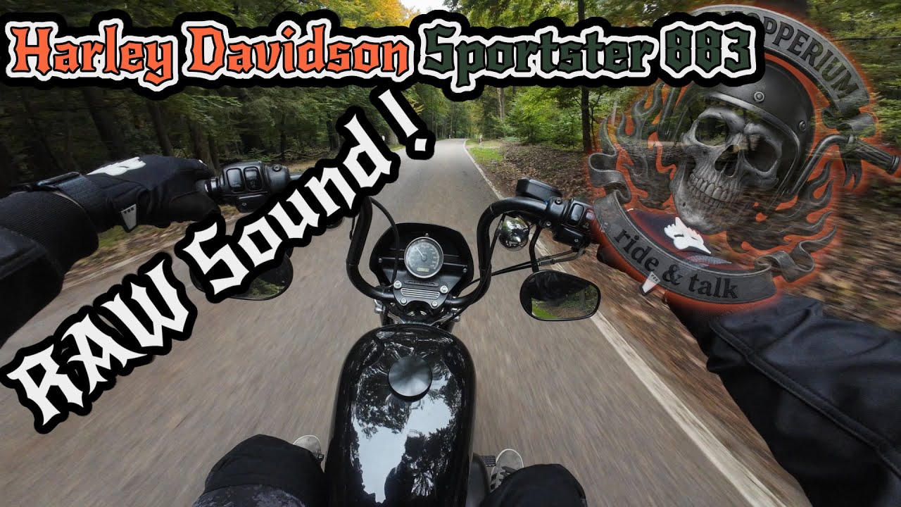 Harley Sportster 883 | RAW SOUND | Herbstrunde