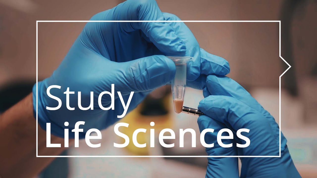 International Master’s Courses in Life Sciences – Study at the TU Dresden