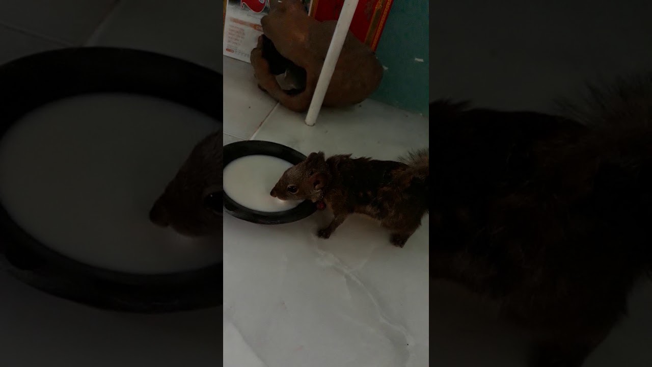 S&oacute;c &uacute;