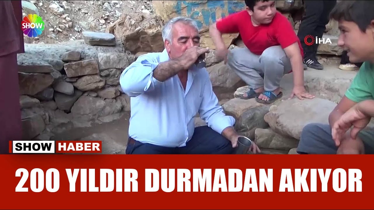 Şifalı &ccedil;eşme kuyruğu