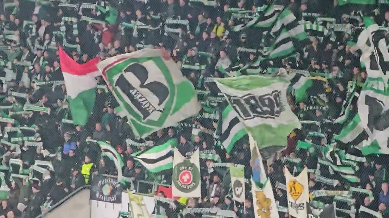 FRADI TÁBOR 🔥 Bevonulás + induló + hangulat / Ferencvárosi TC - Ludogorets / EL playoff / 2026.02.26