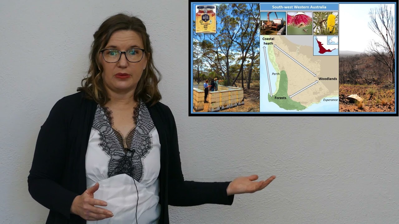 (UWA) Linda Wilson
