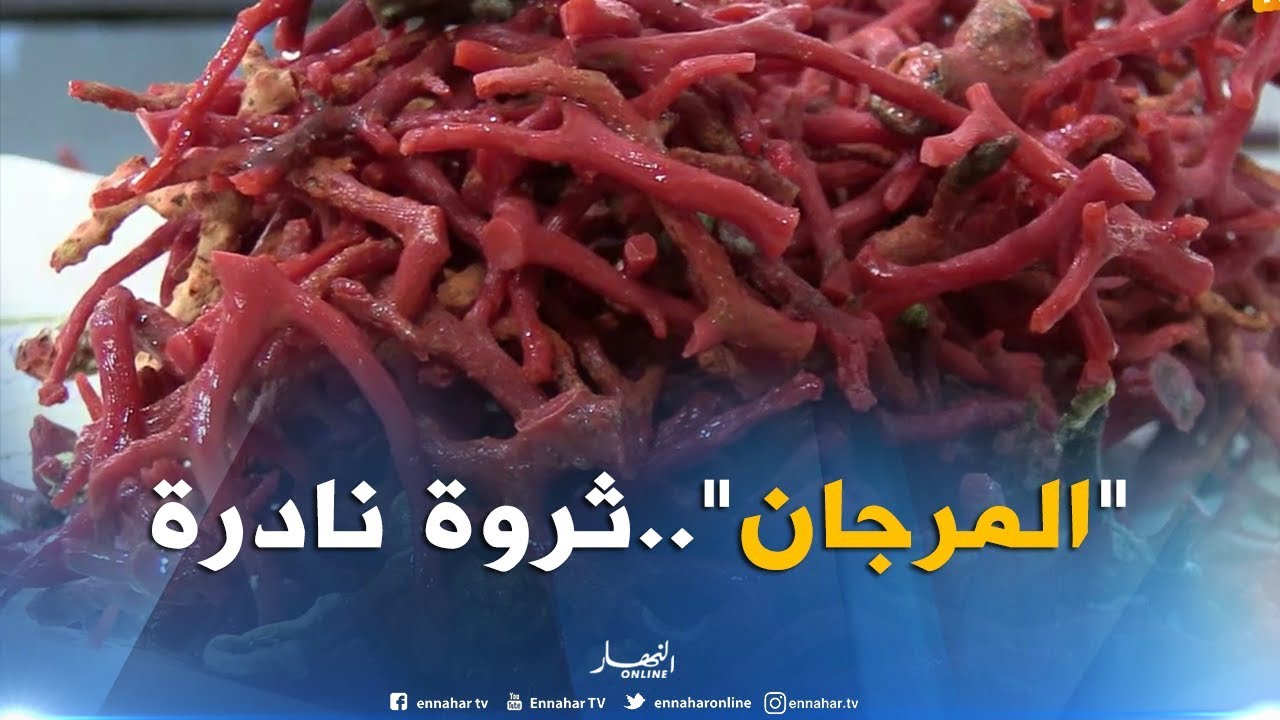 الطارف/ صناعة المرجان...ثروة مهددة بالإندثار