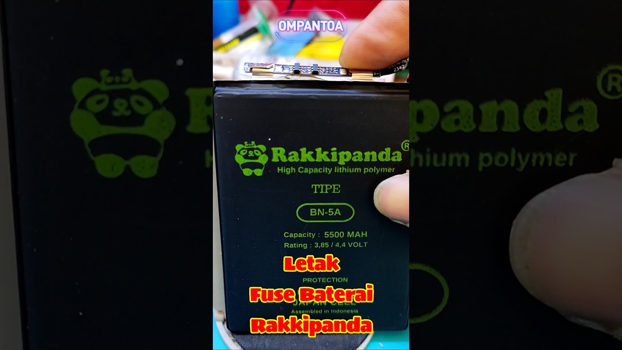 Letak Fuse Baterai Rakkipanda
