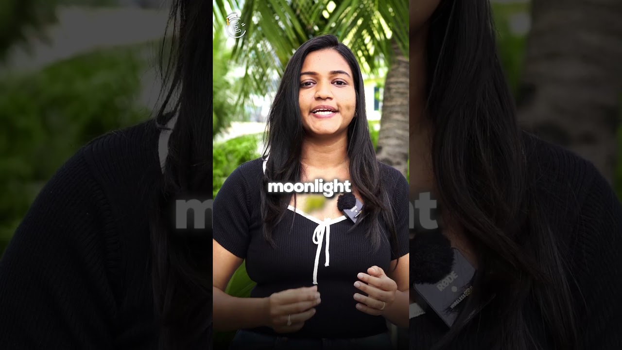 Moonlighting in India: Legal or Not? Why IT Companies Fire Employees? #shorts #freelancing #job