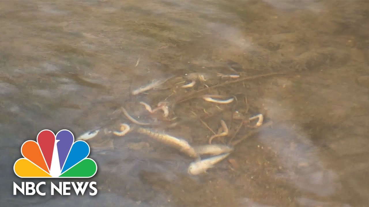 Water safety tops concerns near Ohio train derailment site