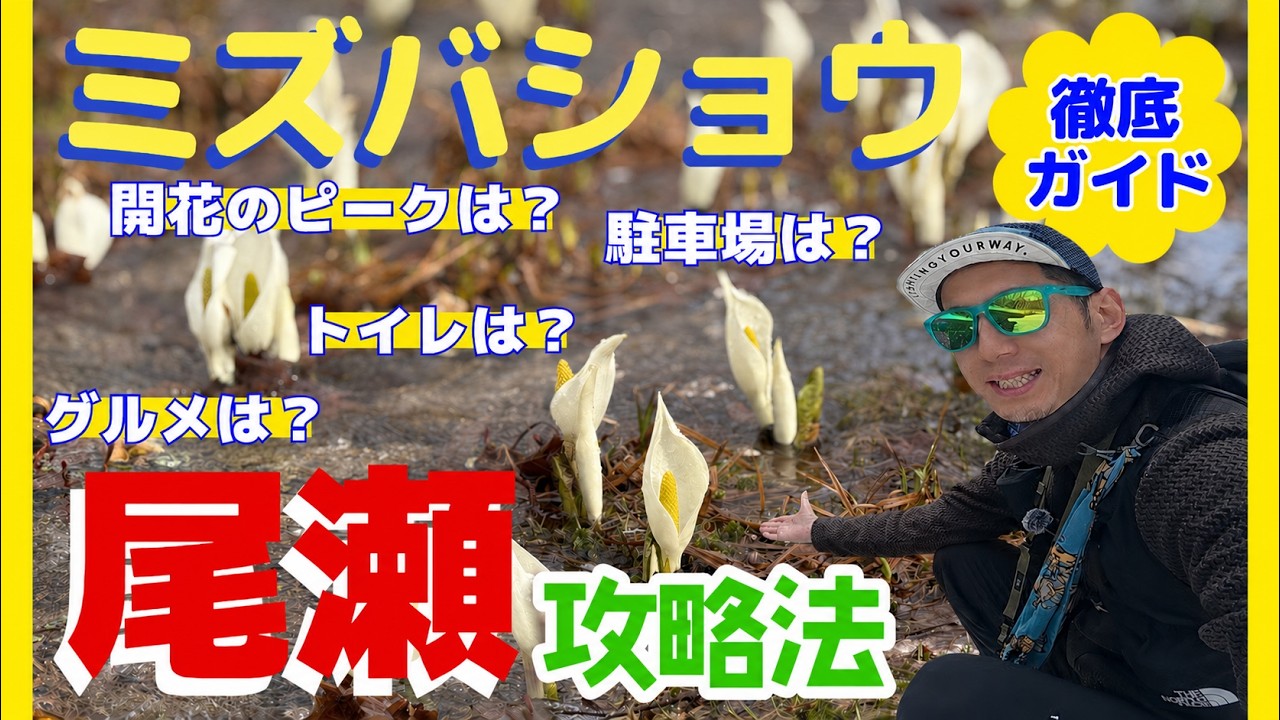 【尾瀬シーズン開幕】初めて行く方必見！ミズバショウ開花のピークは？気になる駐車場やトイレ情報も！もちろん絶品グルメもあるよ♪