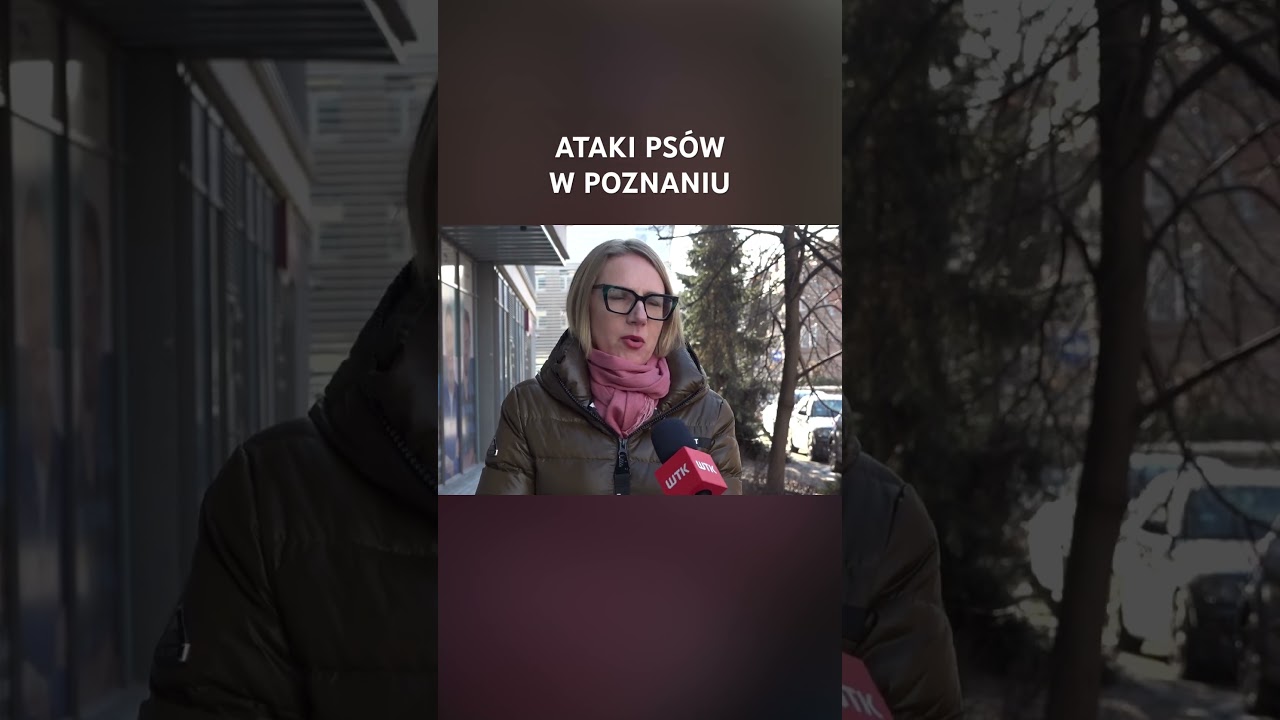 Agresja ps&oacute;w w Poznaniu. 1300 zgłoszeń w rok. #StrażMiejska #Bezpieczeństwo #Psy