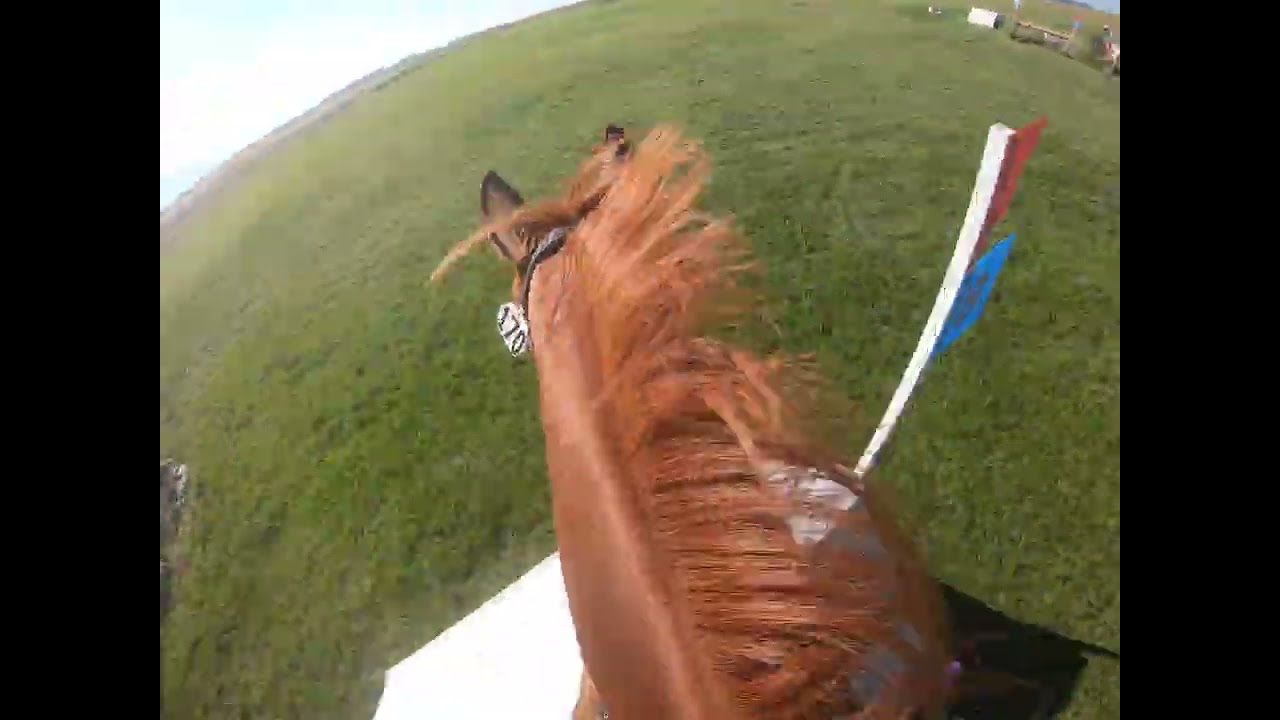 GoPro: Monmore Stevie (Open Modified The Event at Rebecca Farm 2025)