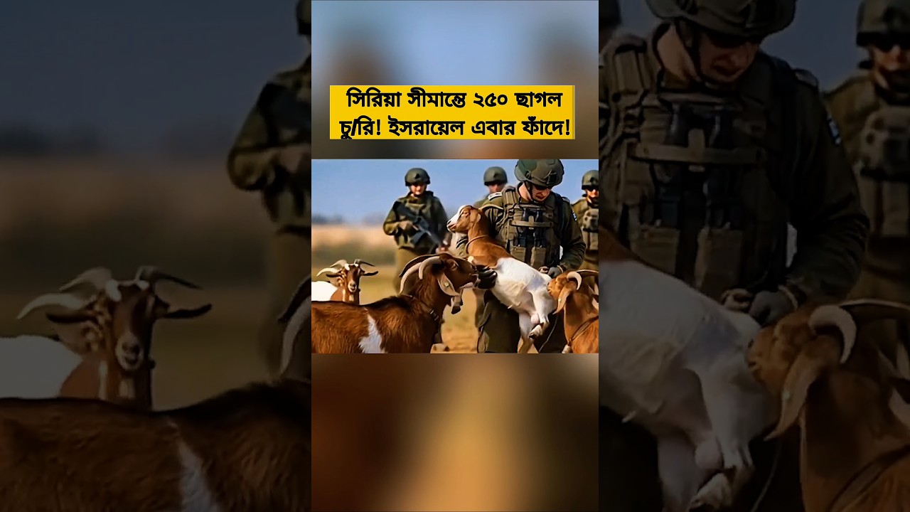 Goat Theft at Syria Border! Shocking IDF Incident Exposed”