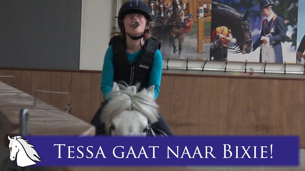 Bixiedag 2017 bij de KNHS in Ermelo * Hart voor Paarden *