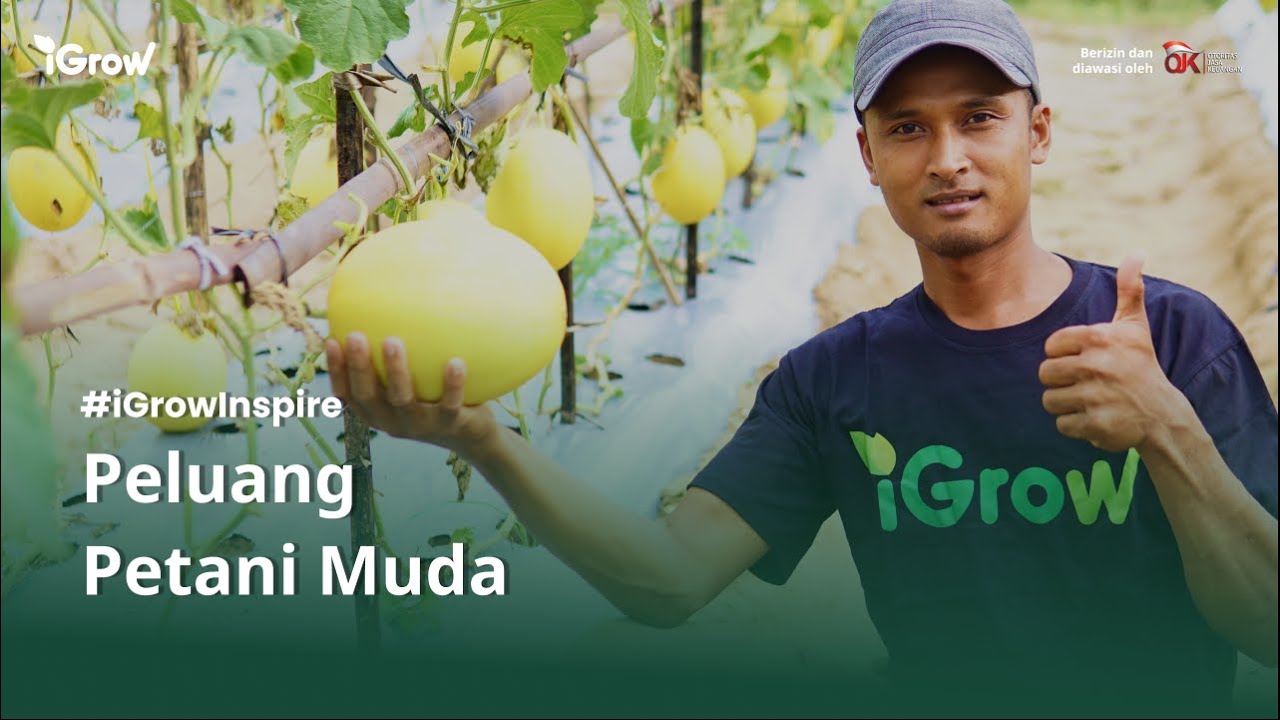Peluang Petani Muda Indonesia
