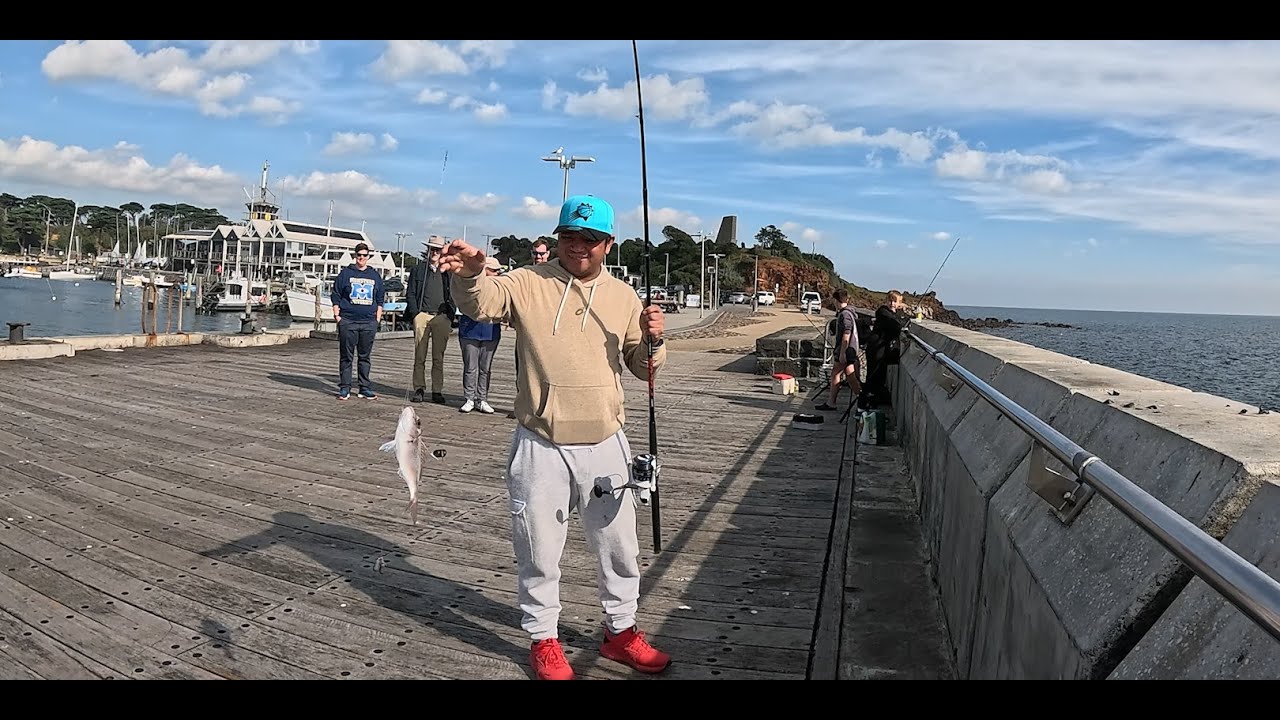 FLINDERS AND MORNINGTON PIER FISHING SESSION.FISHING SPOT VICTORIA