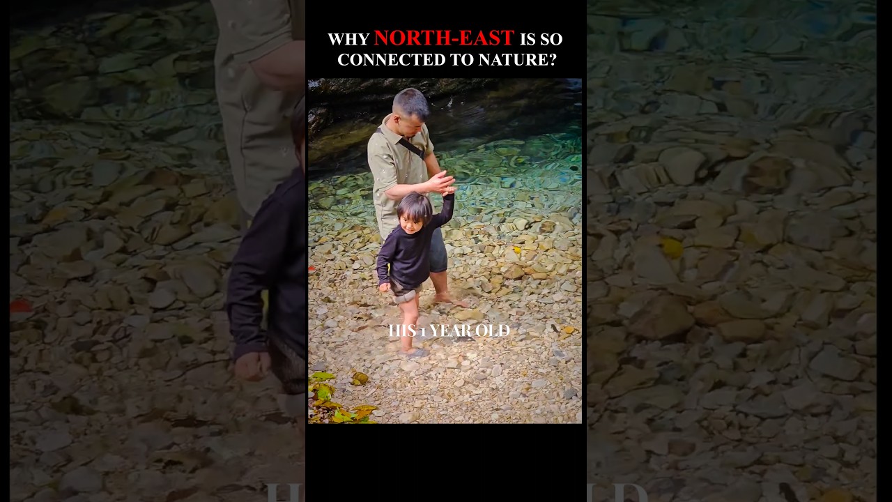 NorthEast Indians are DIFFERENT! - IN A NATURALLY BEAUTIFUL WAY #ashortaday #shorts