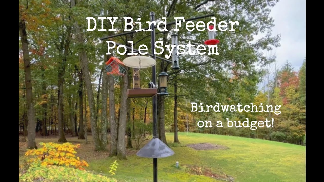 DIY Bird Feeder Pole System - Birdwatching on a Budget!