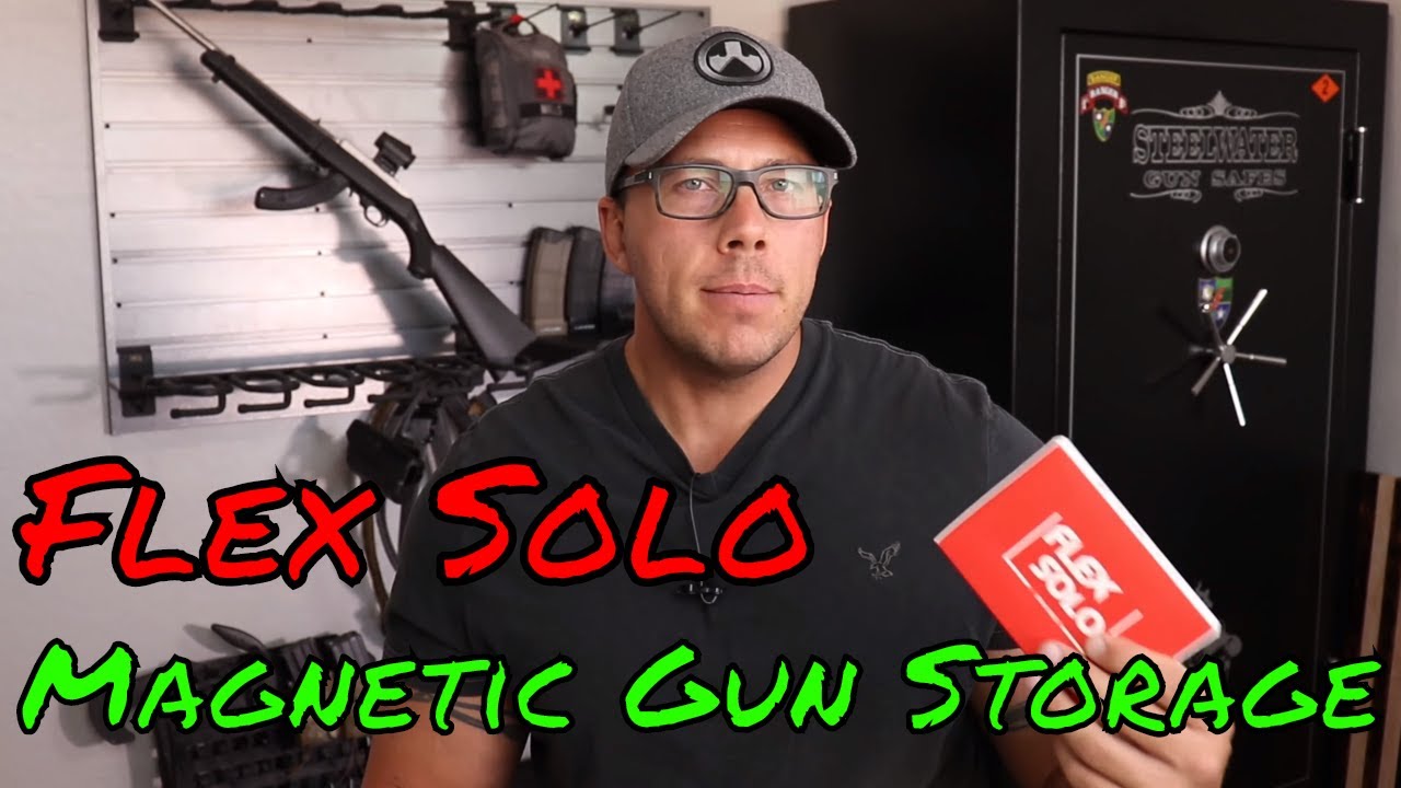 Gun Magnets Are They Strong Enough Flex Solo?