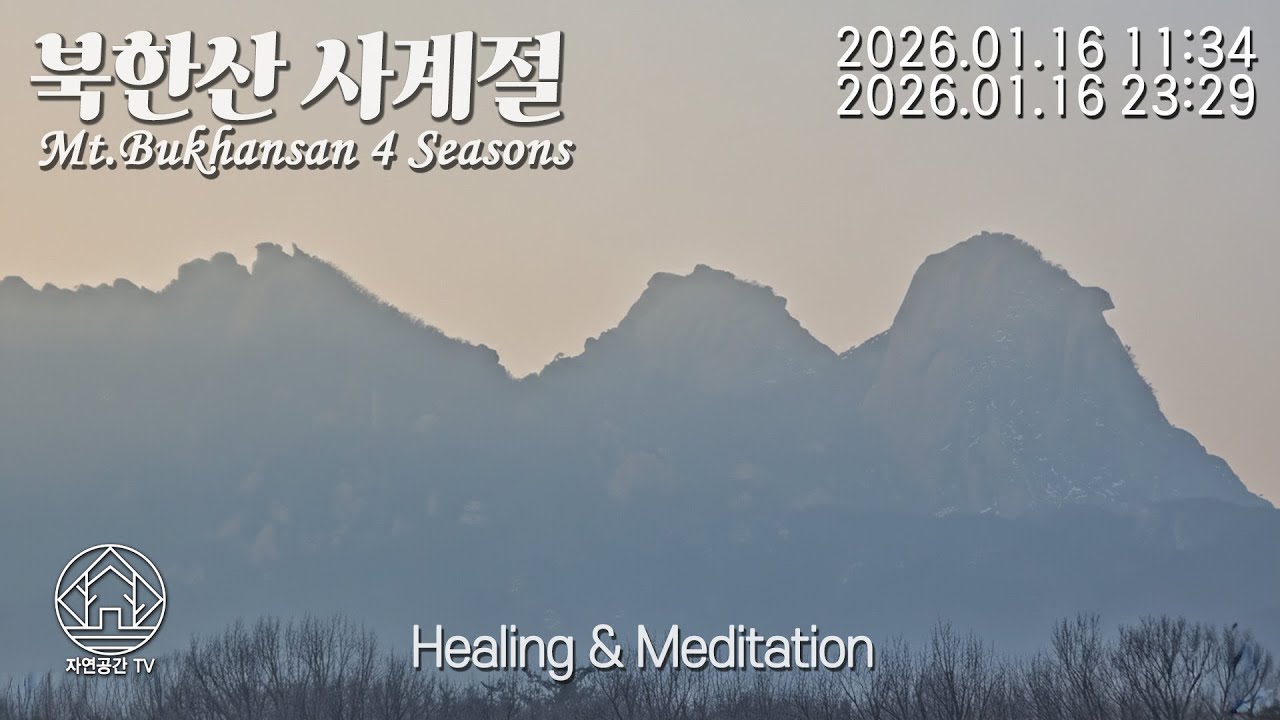 Natural Healing Meditation Sleep Relax Mt.Bukhansan 힐링 명상 수면 자연치유 아름다운 북한산의 사계절 26.01.16 (2)[자연공간TV]