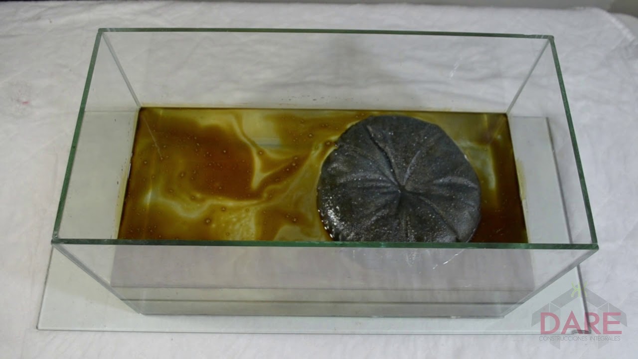 Absorbente organico