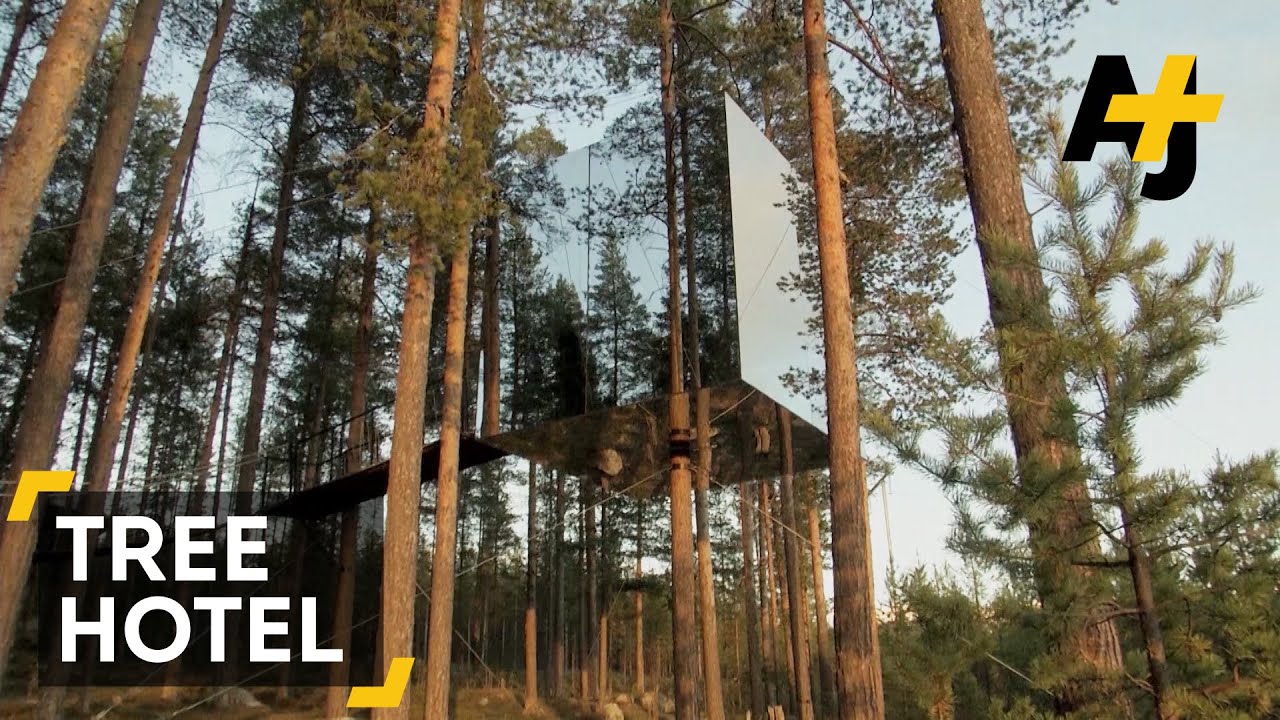 A Tree Hotel Made Of Six Unique Cabins
