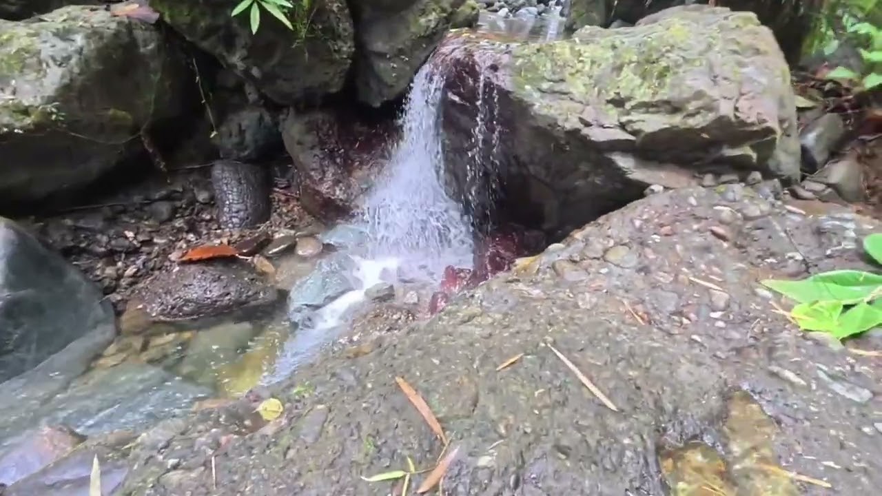 mt.mayapay cave exploration 