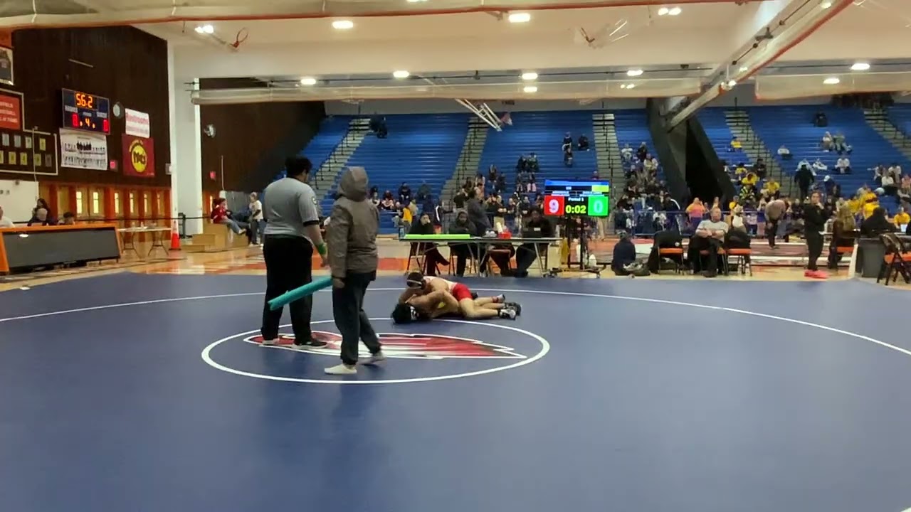 Naji v Lewis District Consi Semis