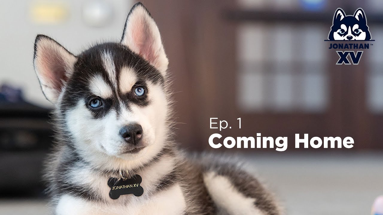Jonathan XV: Episode 1 - Coming Home
