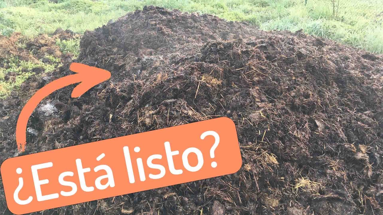 Cómo hacer abono orgánico con estiércol de vaca