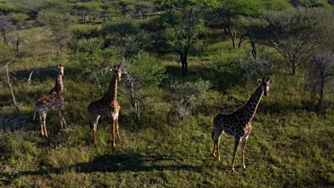 340 HECTARE FARM FOR SALE: MOOGOPONG, NABOOMSPRUIT