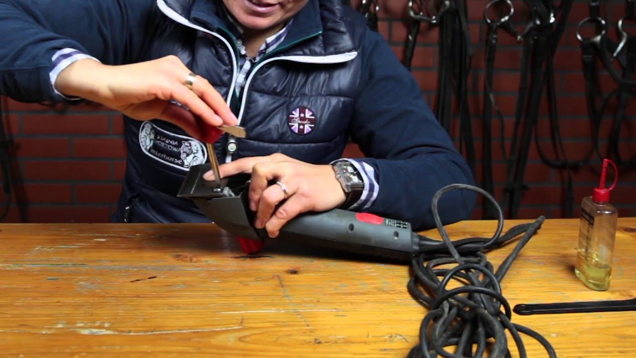 Jazda konna - Pielęgnacja, strzyżenie i kąpanie koni