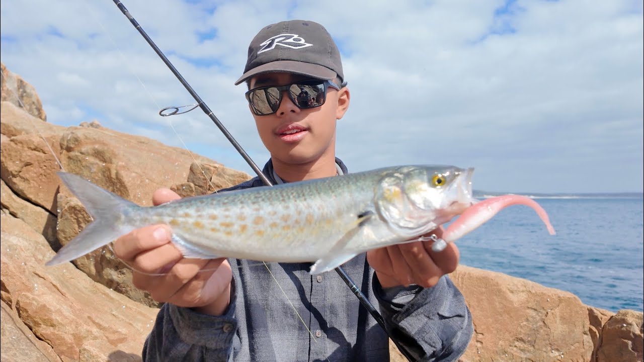 “Casting Soft Plastics From the Rocks with Light Tackle!… This Went OFF”