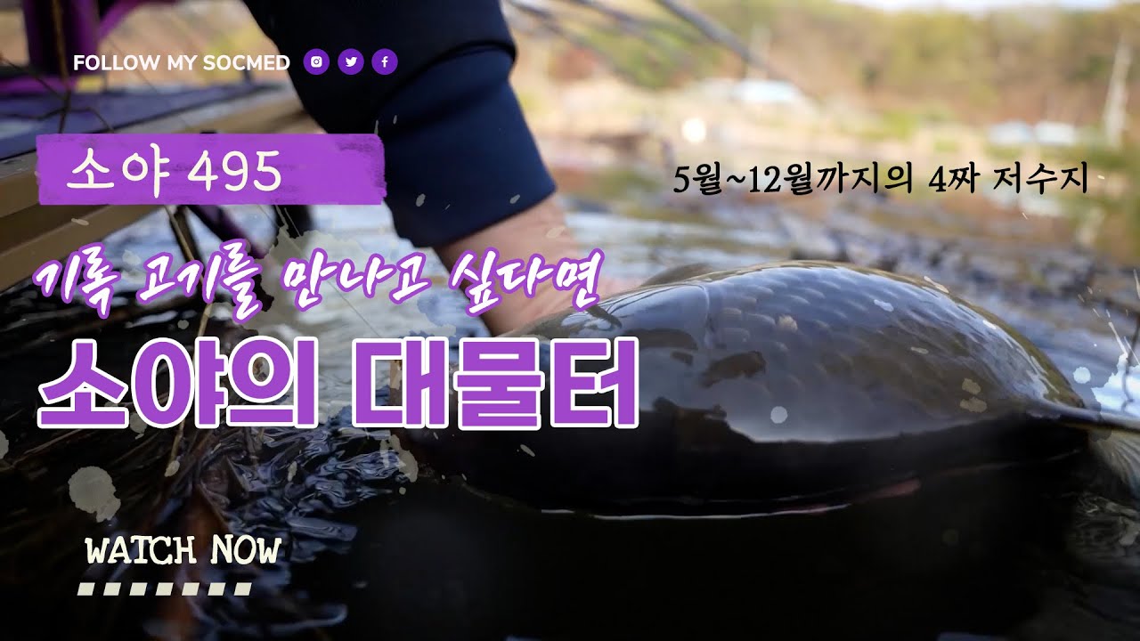 기록 고기를 만나고 싶다면! 25년 5월부터 12월까지 '소야의 대물터'