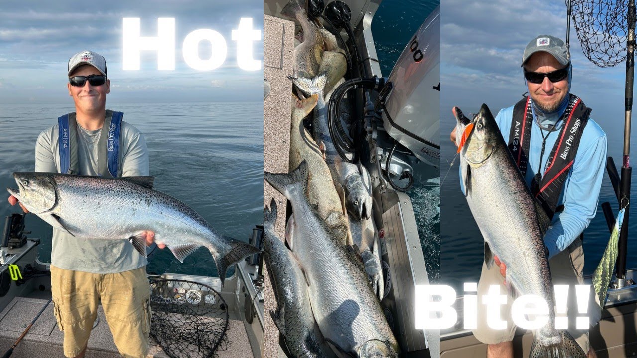 King Salmon Fishing Chicago, IL on Lake Michigan!  Hot BITE! Almost a Limit! 7/27/2025