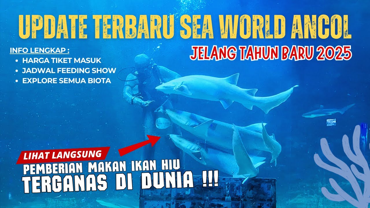 SEA WORLD ANCOL TERBARU 2024 & UPDATE HARGA TIKET | Wisata Dunia Bawah Laut