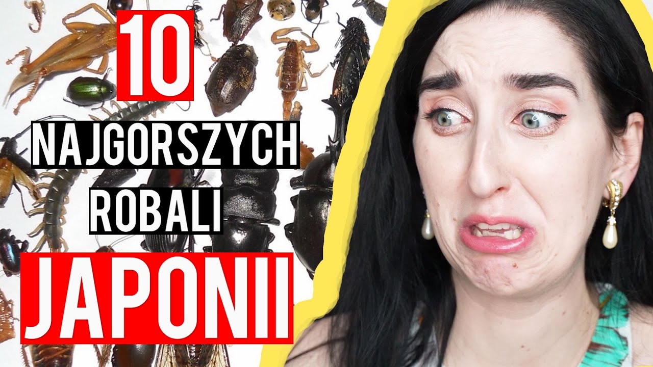 TYCH ROBALI BOJĄ SIĘ JAPOŃCZYCY !