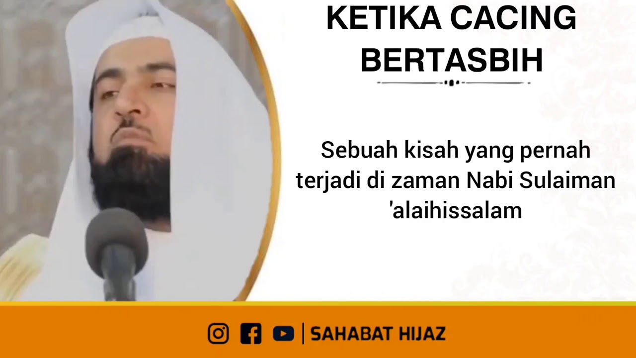 Kisah Cacing Bertasbih