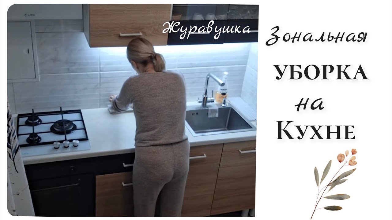 Неожиданный зритель.Зональный порядок на кухне.Журавушка