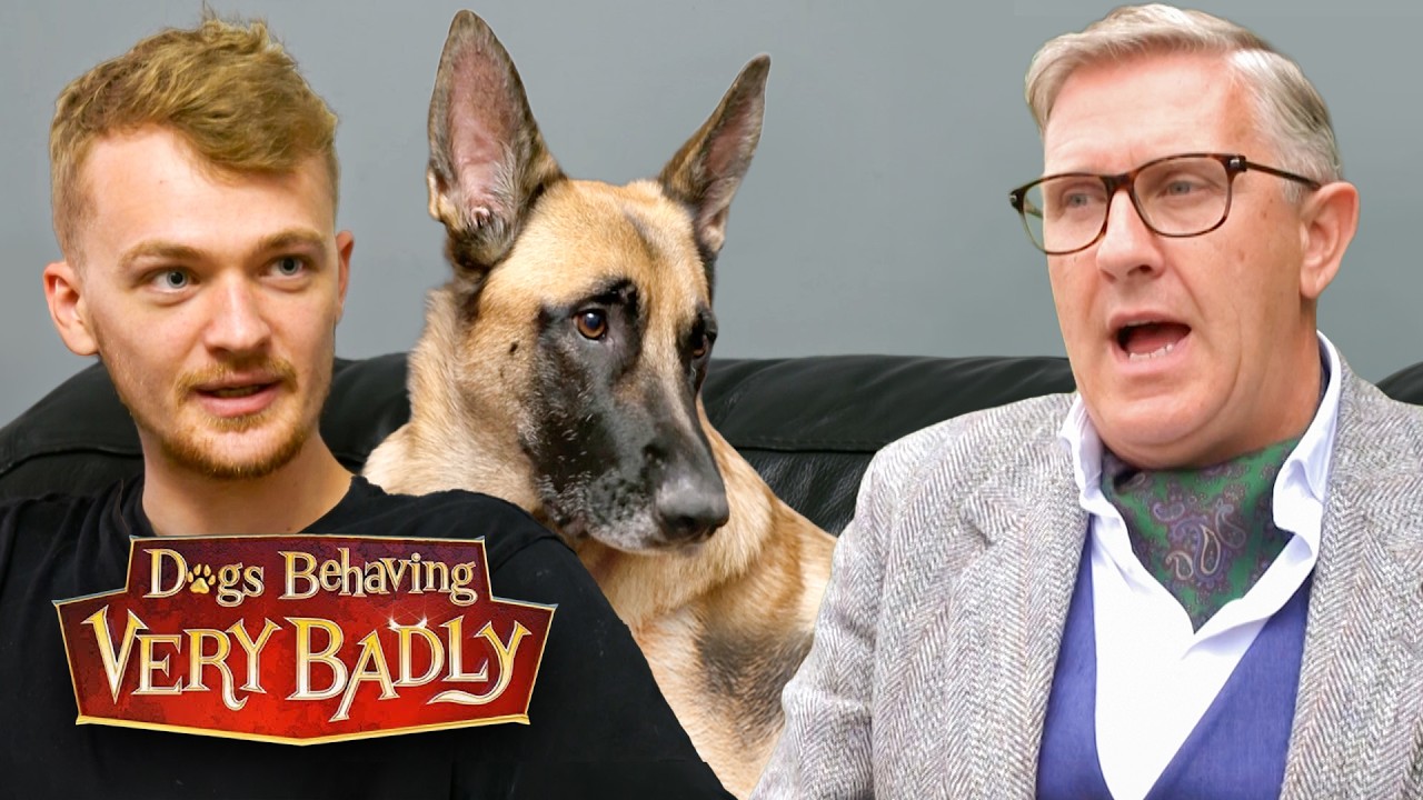 Dogs With Extreme Separation Anxiety: Why These Dogs Refuse To Be Alone
