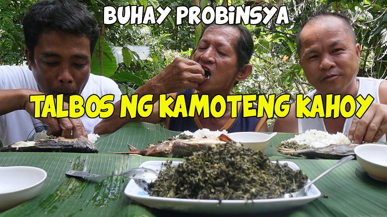 TALBOS NG KAMOTENG KAHOY | BUHAY PROBINSYA