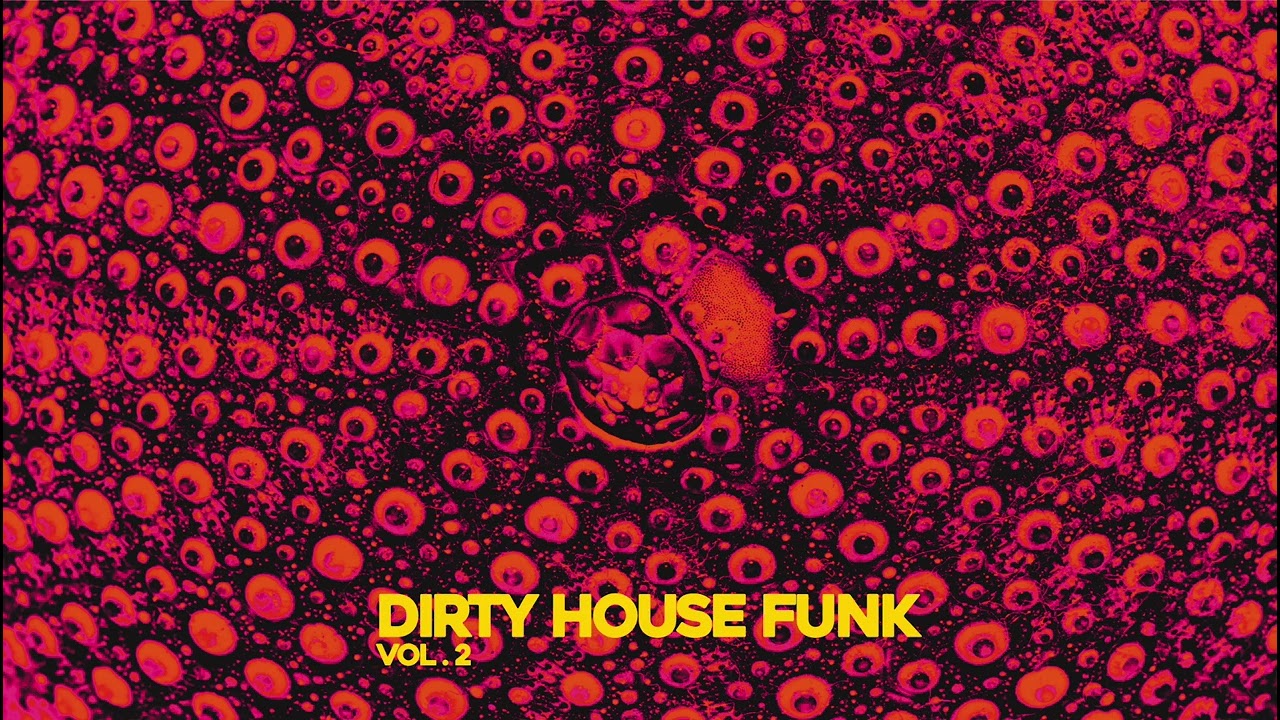 The Best Acid Jazz & Funk Grooves | Dirty House Funk Mix 2026 🔥🎷🎶