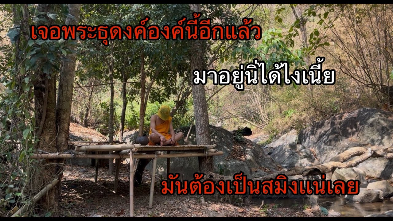 เจอ“พระธุดงค์”องค์นี้อีกแล้วมาอยู่นิ่ได้ไงมันต้องเป็นสมิงแน่.!??