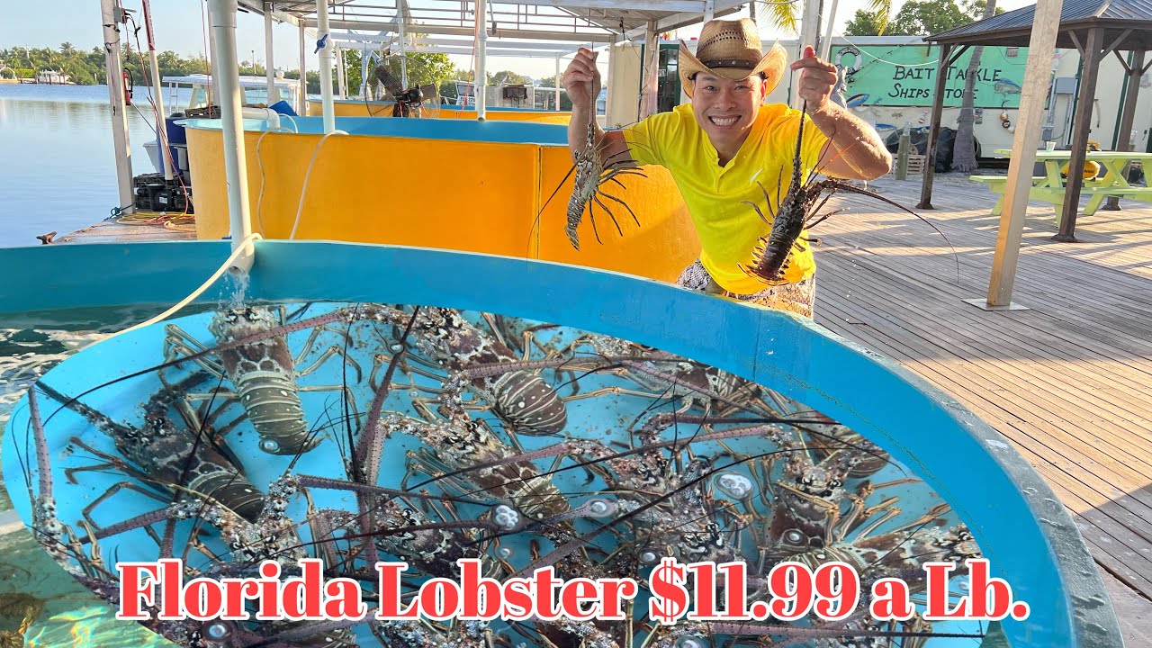 Tiệm TÔM HÙM Walk-In Chỉ Có $11.99 Cho 1 Lb.  Ở Key West, FL | LuuLinh TV